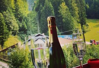 Hotel Pin Azuga has Balcony rooms