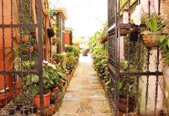 Villa Bonita Les Terrasses allows 18 year olds to book a room