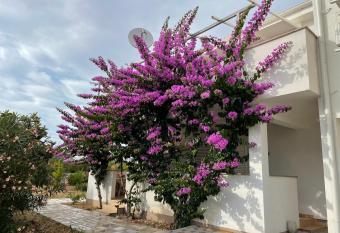 NOVALJA APARTMENTS by NENA allows 18 year olds to book a room