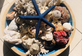 Blue Starfish allows 18 year olds to book a room