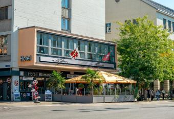 Hotel Blumenstein Self-Check In allows 18 year olds to book a room