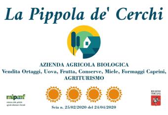 La Pippola de  Cerchi has Balcony rooms