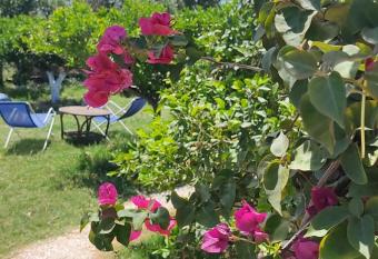 Sweet Old House has Balcony rooms
