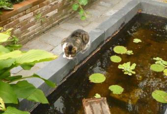 Cessinas has Balcony rooms