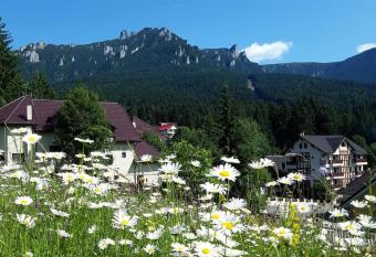 Complex de Pensiuni la Munte- Durau allows 18 year olds to book a room