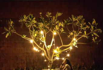 Arthigamya Spa & Resort allows 18 year olds to book a room