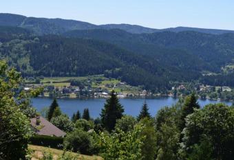 LES DRYADES Vue montagne has Balcony rooms