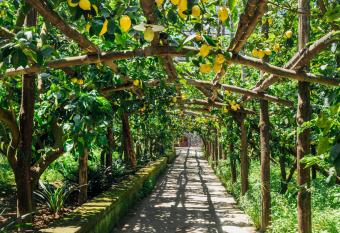 Agriturismo Il Giardino di Vigliano has Balcony rooms