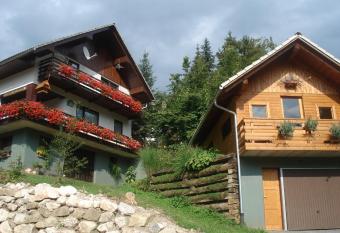 Apartma Podlogar Golica Triglav has Balcony rooms