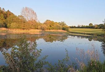 Astwell Mill Luxury Shepherds Hut has Balcony rooms