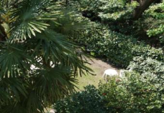 Tip Top Gujarati House has Balcony rooms