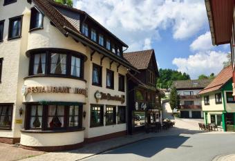 Landhotel Alte Aue allows 18 year olds to book a room