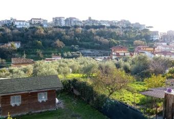 Rossyiva has Balcony rooms