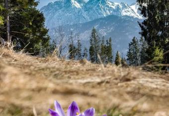 TYLKOWA CHATA allows 18 year olds to book a room