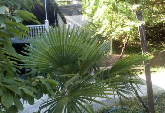 DONNA has Balcony rooms