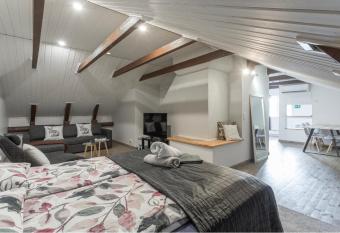 Unique open space loft studio in the attic allows 18 year olds to book a room