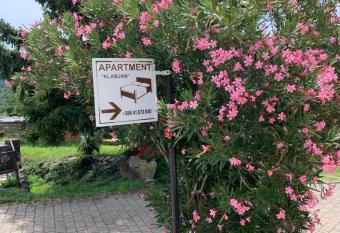 Apartmaji Klabjan - Kaki has Balcony rooms