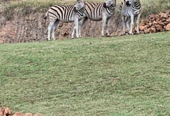 Sedgefield Lodge West Wing has Balcony rooms