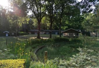 Waldjugendherberge Uelsen allows 18 year olds to book a room