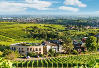 Hotel Rebenhof has Balcony rooms