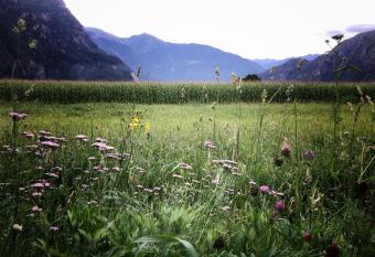Agriturismo Summus Lacus has Balcony rooms