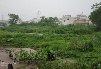 Bhandari Annexe has Balcony rooms