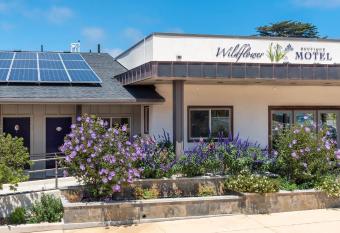 Wildflower Boutique Motel has Balcony rooms