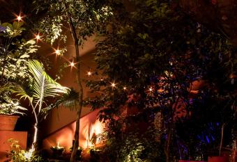 The Red Tree House allows 18 year olds to book a room