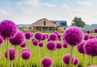 B&B de Cley allows 18 year olds to book a room