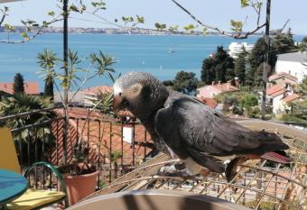 Apartma Gaia has Balcony rooms