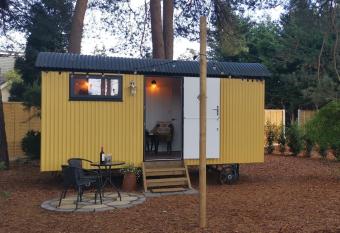 Forest Heath Shepherd s Hut allows 18 year olds to book a room