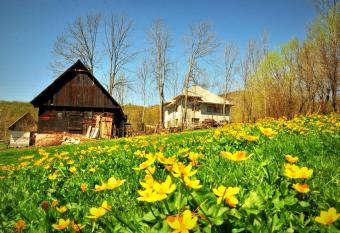 Agropensiunea Tarina has Balcony rooms