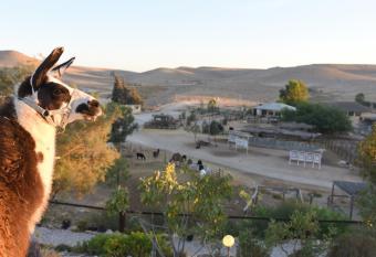 Alpaca Farm -                         has Balcony rooms