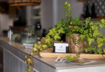 Olive & Ivy Guesthouse allows 18 year olds to book a room