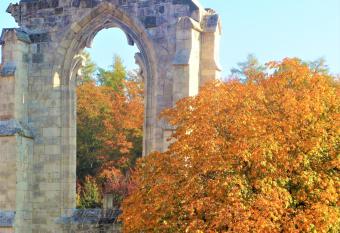 Ferienwohnungen Klosterblick has Balcony rooms