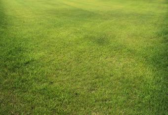 Hotel Mariage Tsukuba allows 18 year olds to book a room