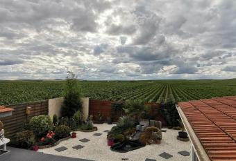 Au Bouchon Champenois allows 18 year olds to book a room