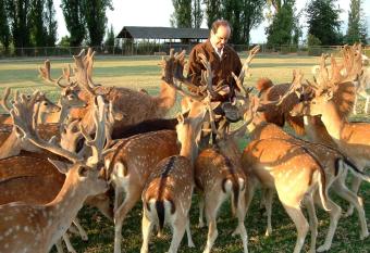 Casa Los Ciervos allows 18 year olds to book a room