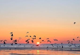 Captains Quaters allows 18 year olds to book a room