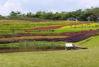 Vimala Hill villa and resort - 3 bedrooms has Balcony rooms