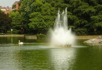 Maison da Paola allows 18 year olds to book a room