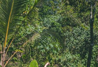 Surf & Yoga Mirissa - Surf camp and Yoga retreat has Smoking/Balcony rooms