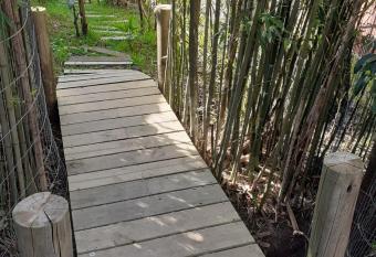 Pez Espada has Balcony rooms