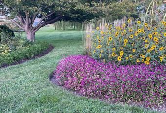 Tilghman Island Inn has rooms with a private hot tub