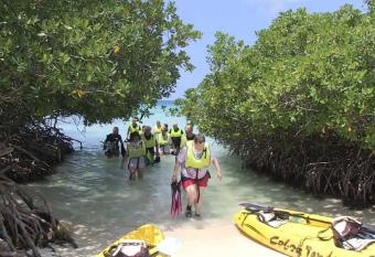 Trailer Beach Front Cottage has Balcony rooms