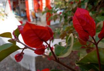 Casa Hotel Villa Marta allows 18 year olds to book a room