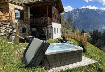 Bergchalet Obertalerhof has Balcony rooms