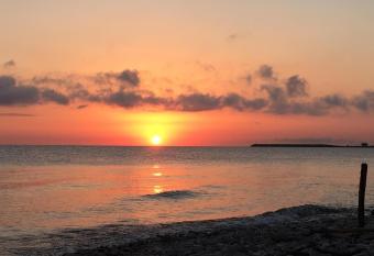 Life Quality B&B allows 18 year olds to book a room