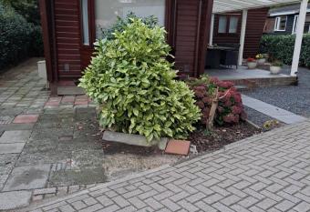 Knusse Landelijke Chalet op de Veluwe allows 18 year olds to book a room