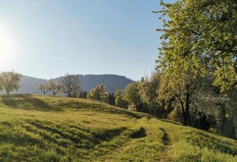 Apartma Lesjak - pobeg v naravo has Balcony rooms